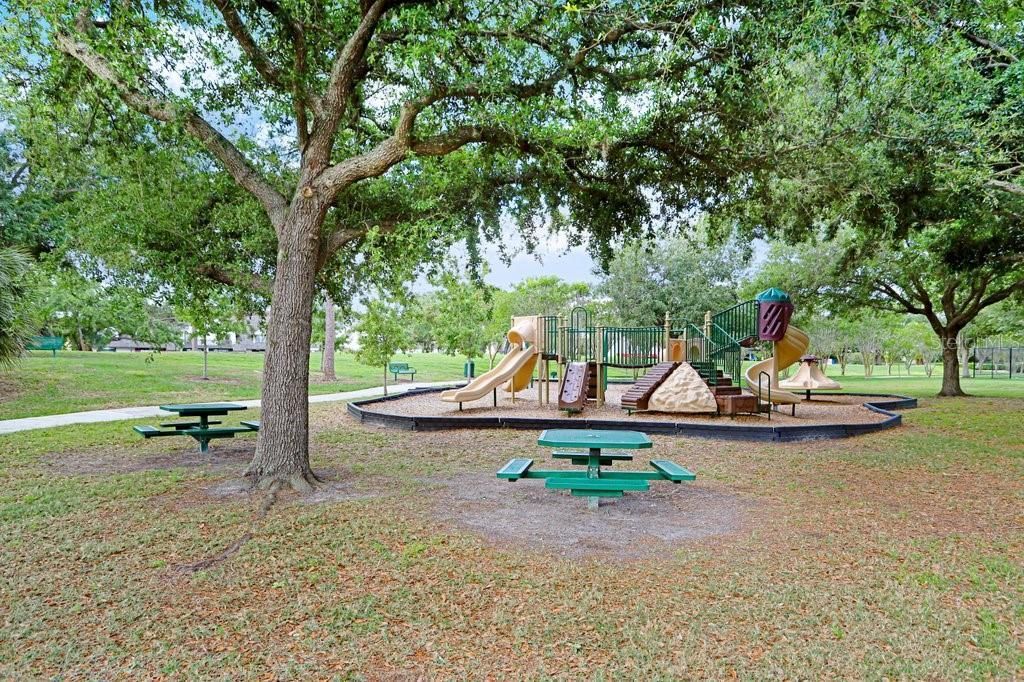 13602 S Village Drive , Unit 1205, Tampa, FL 33618 Photo