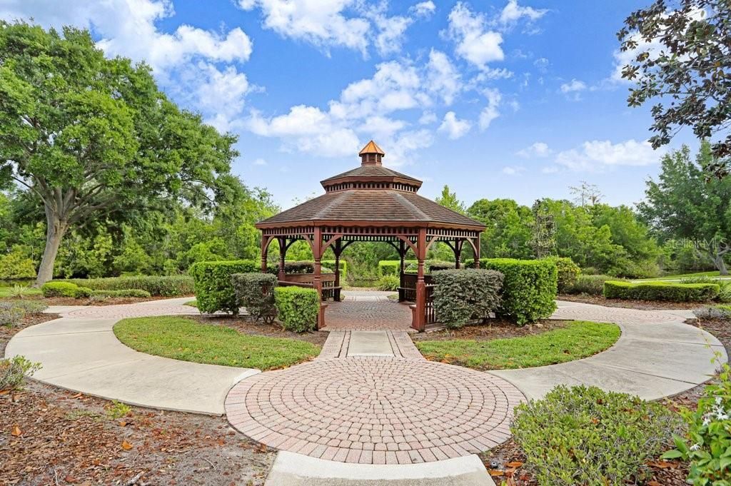 13602 S Village Drive , Unit 1205, Tampa, FL 33618 Photo