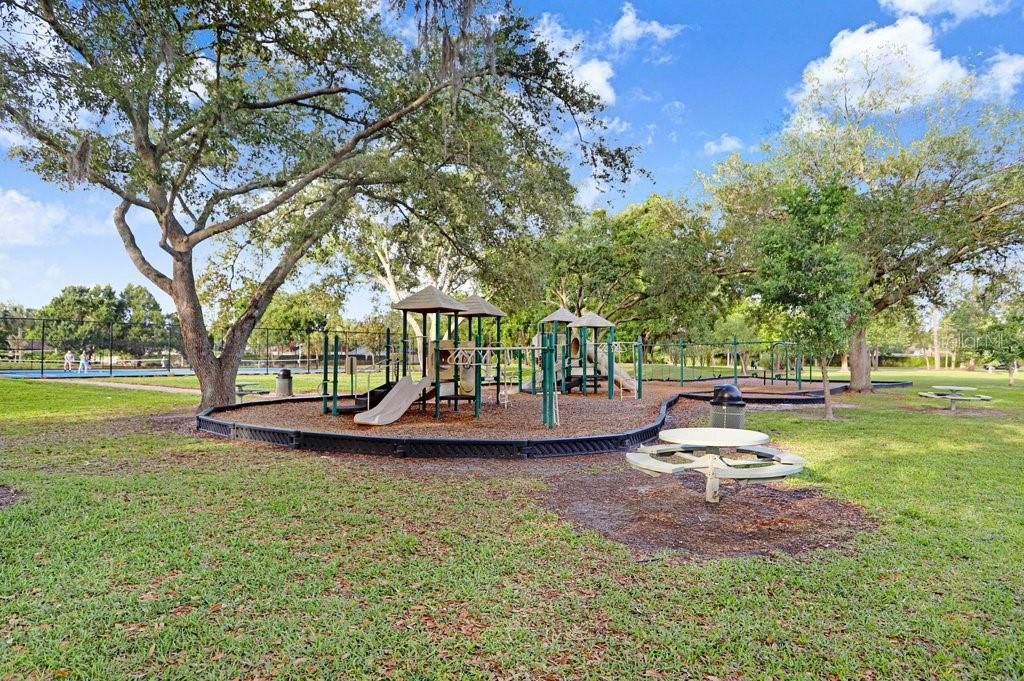 13602 S Village Drive , Unit 1205, Tampa, FL 33618 Photo