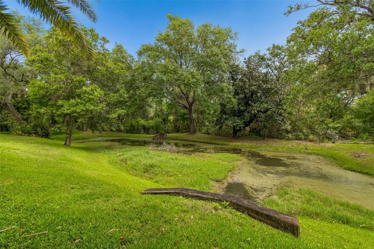 3040 Turtle Brooke, Clearwater, FL 33761 Photo