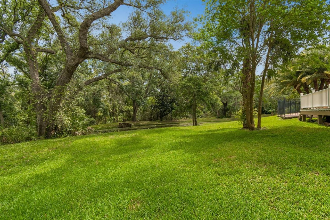 3040 Turtle Brooke, Clearwater, FL 33761 Photo