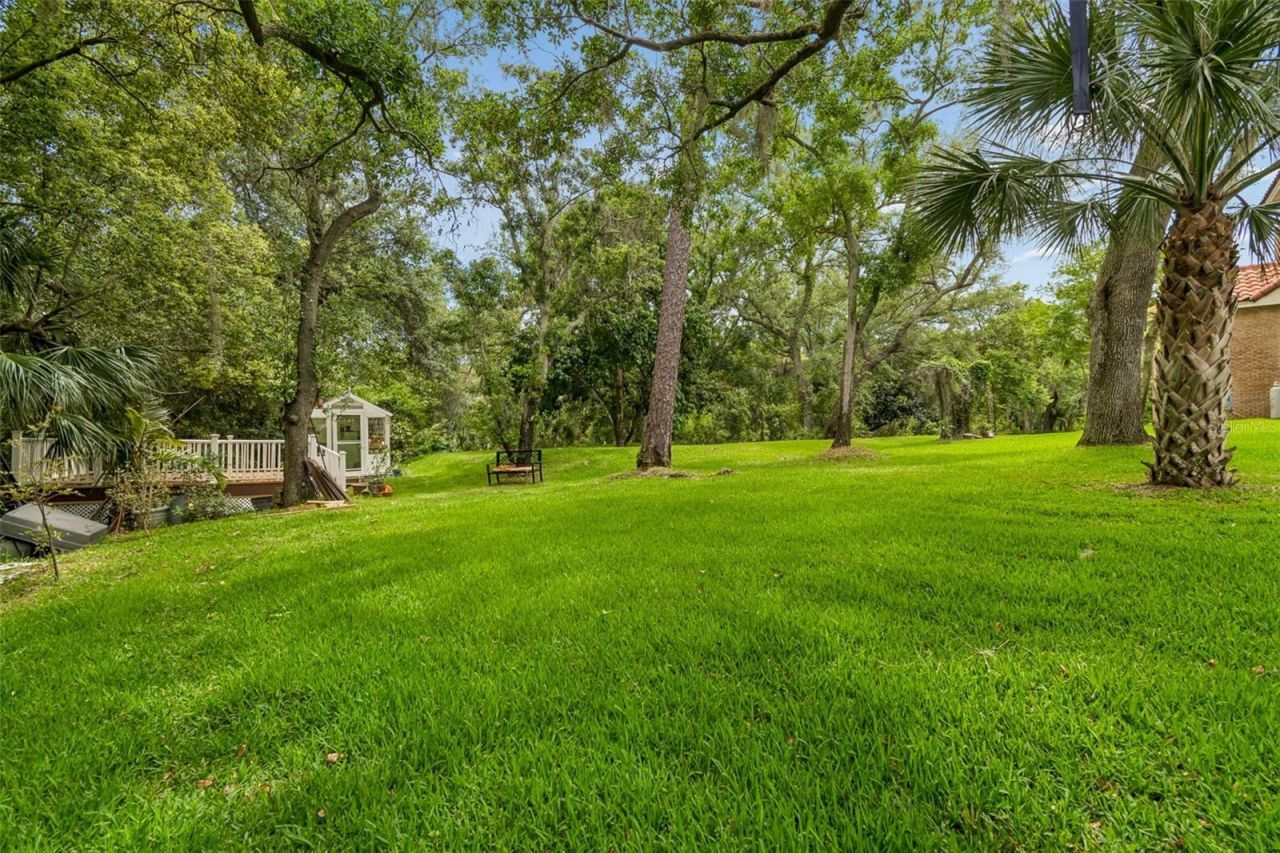 3040 Turtle Brooke, Clearwater, FL 33761 Photo