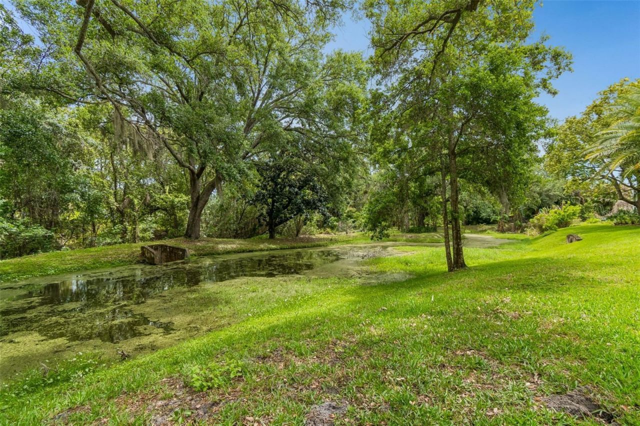 3040 Turtle Brooke, Clearwater, FL 33761 Photo