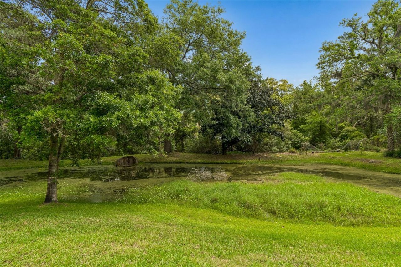 3040 Turtle Brooke, Clearwater, FL 33761 Photo