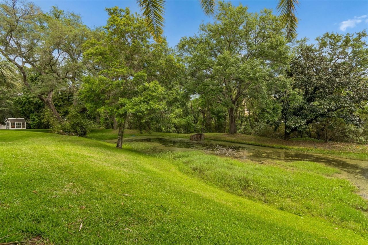 3040 Turtle Brooke, Clearwater, FL 33761 Photo