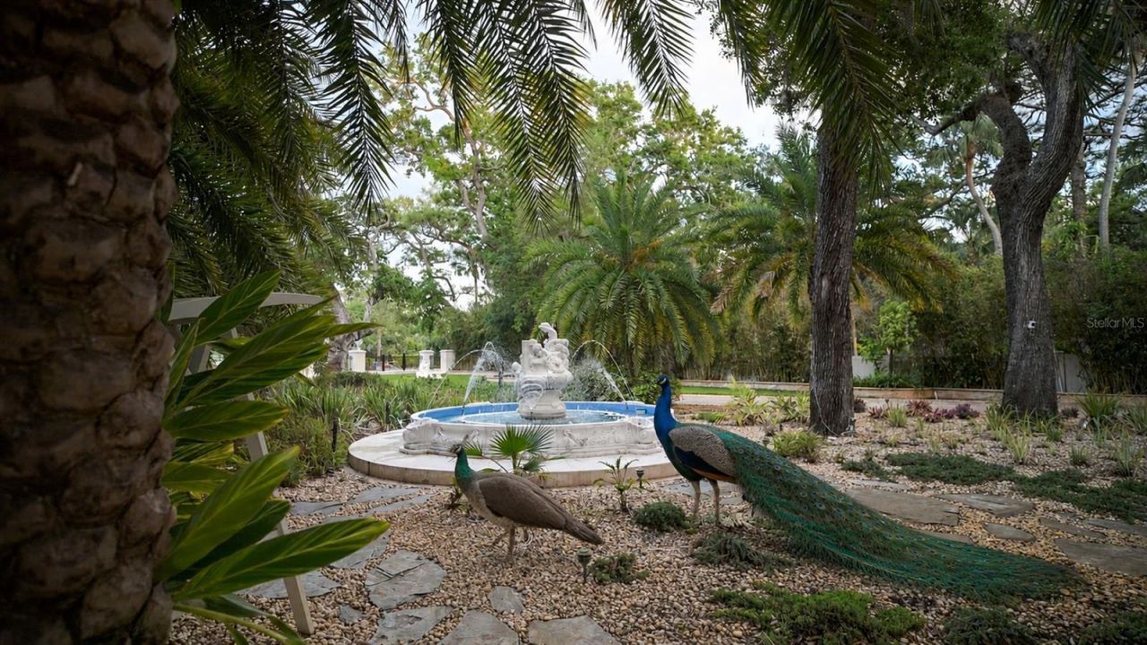 2000 Park Street N, Saint Petersburg, FL 33710 Photo