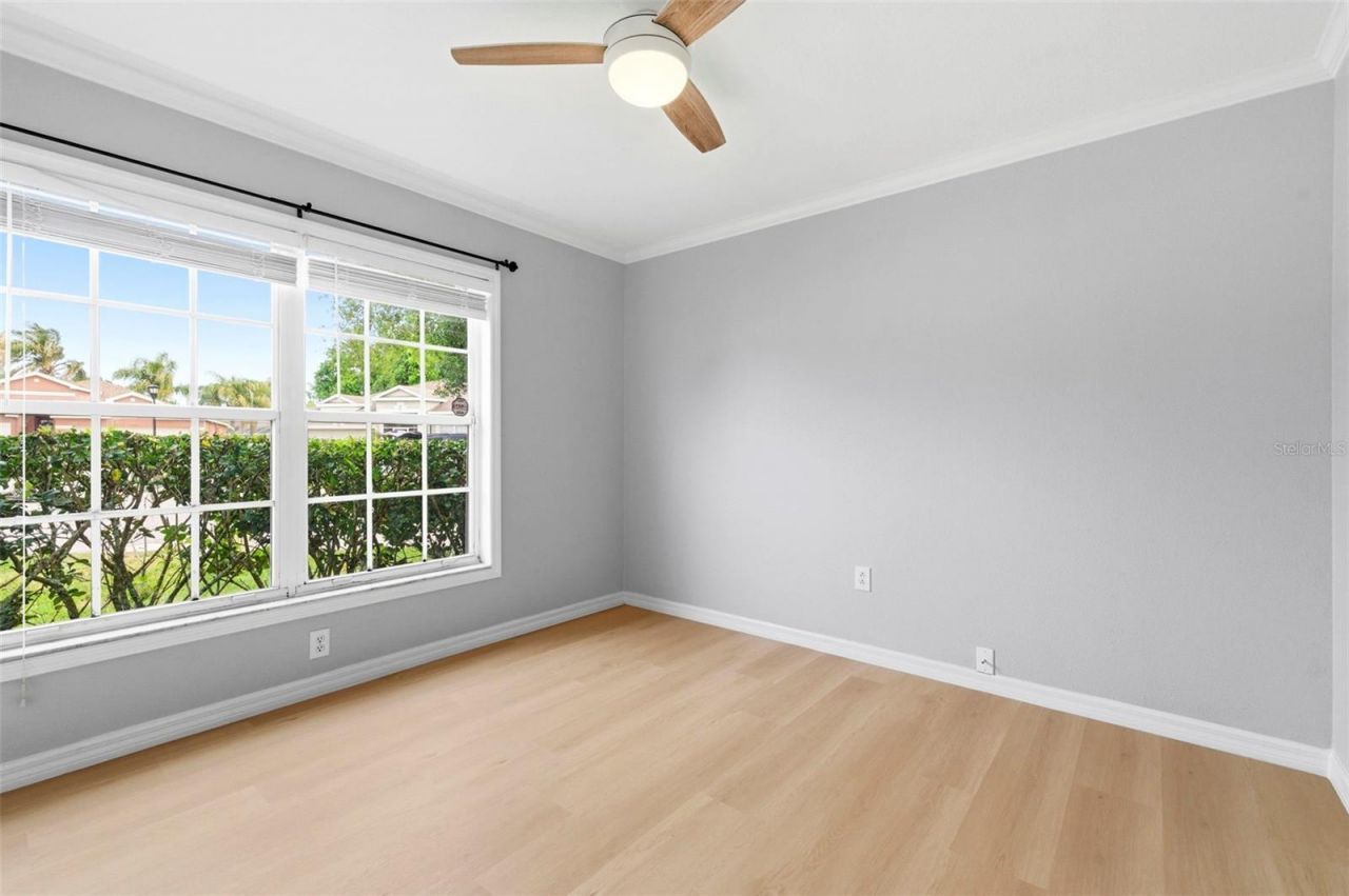 5419 Seattle Slew Drive , Wesley Chapel, FL 33544 Photo