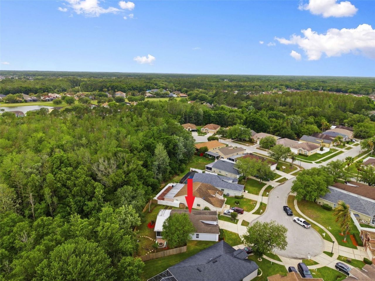 5419 Seattle Slew Drive , Wesley Chapel, FL 33544 Photo