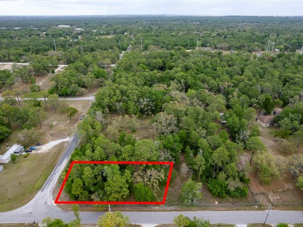 16021 FORZANDO AVENUE , BROOKSVILLE, FL 34604