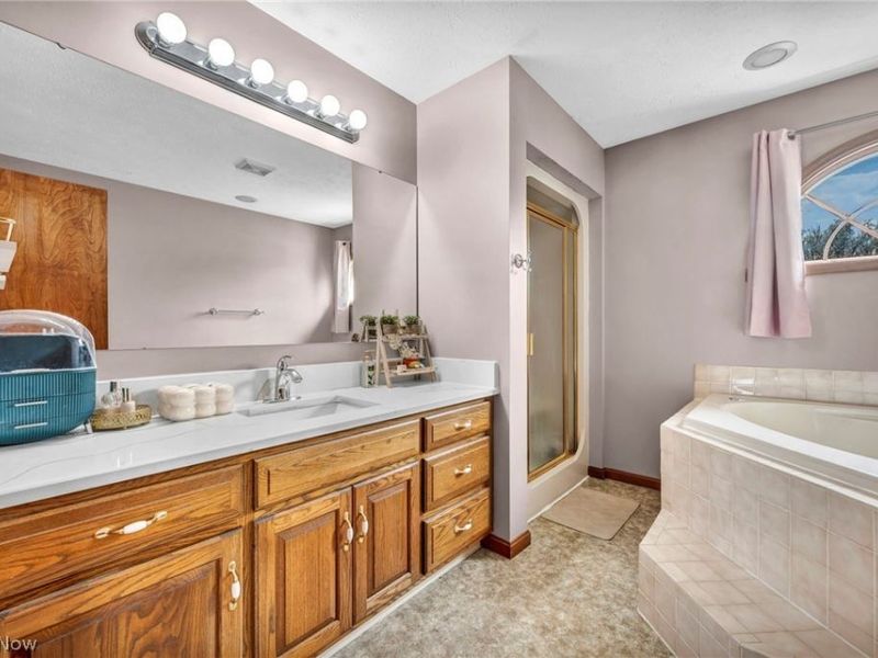 830 Forde Avenue, Amherst, OH 44001 Photo 27