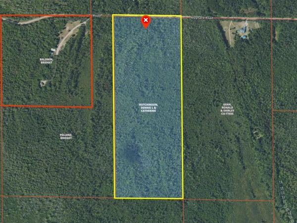 Maynard Road, Cheboygan, MI 49721