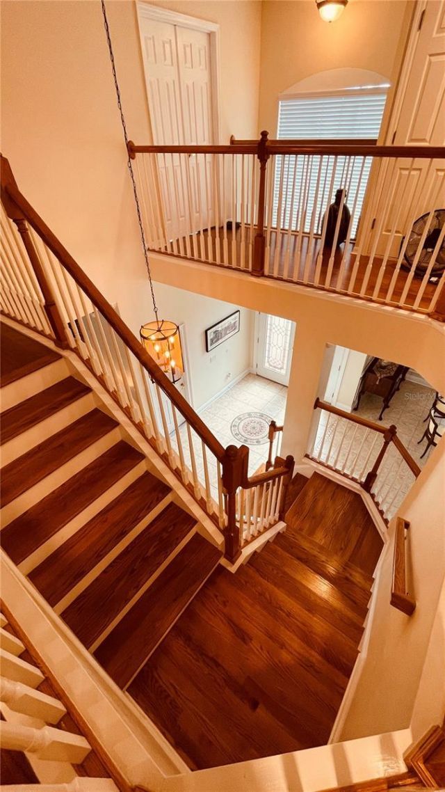 3624 Duke Firth Street , Land O Lakes, FL 34638 Photo