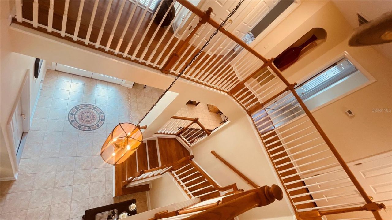 3624 Duke Firth Street , Land O Lakes, FL 34638 Photo