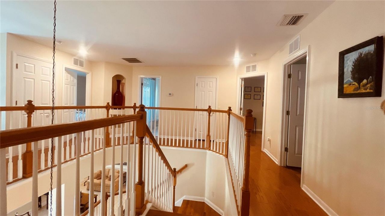 3624 Duke Firth Street, Land O Lakes, FL 34638 Photo