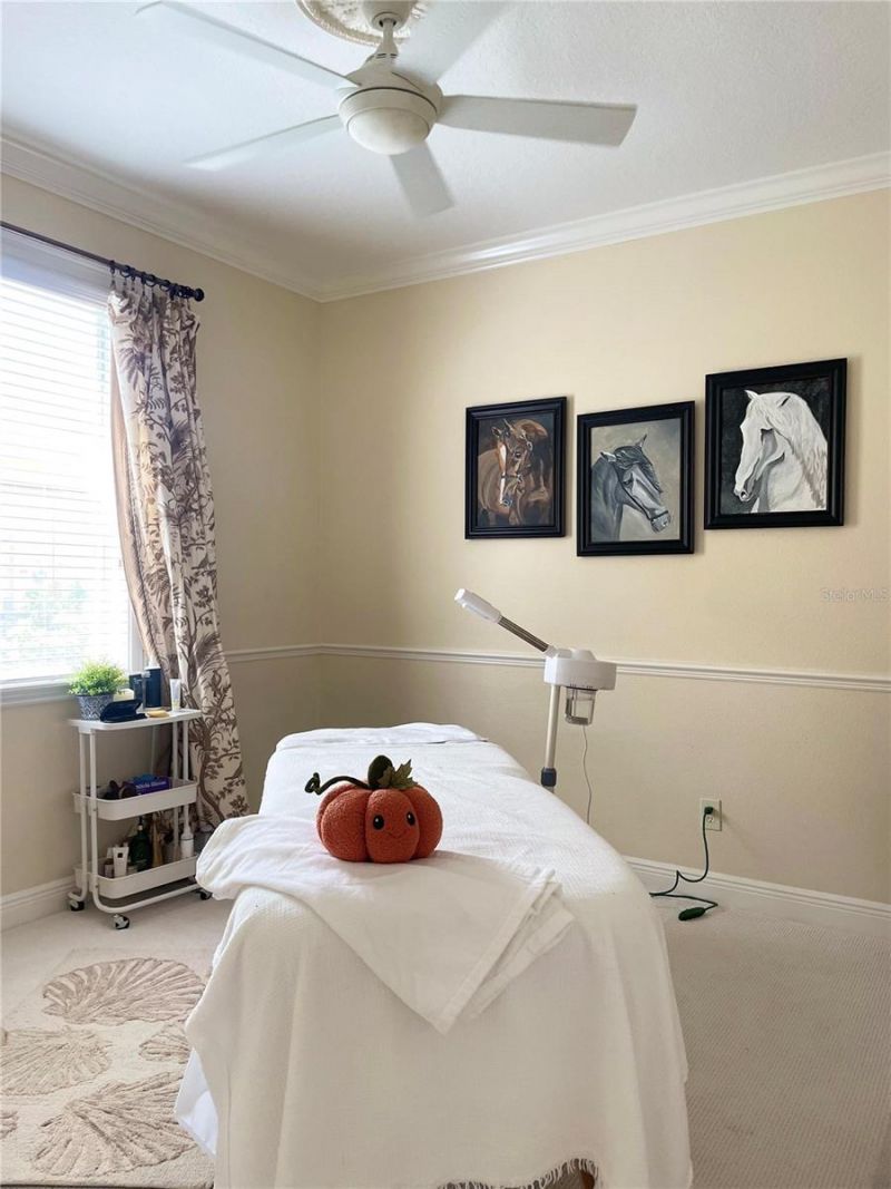 3624 Duke Firth Street , Land O Lakes, FL 34638 Photo