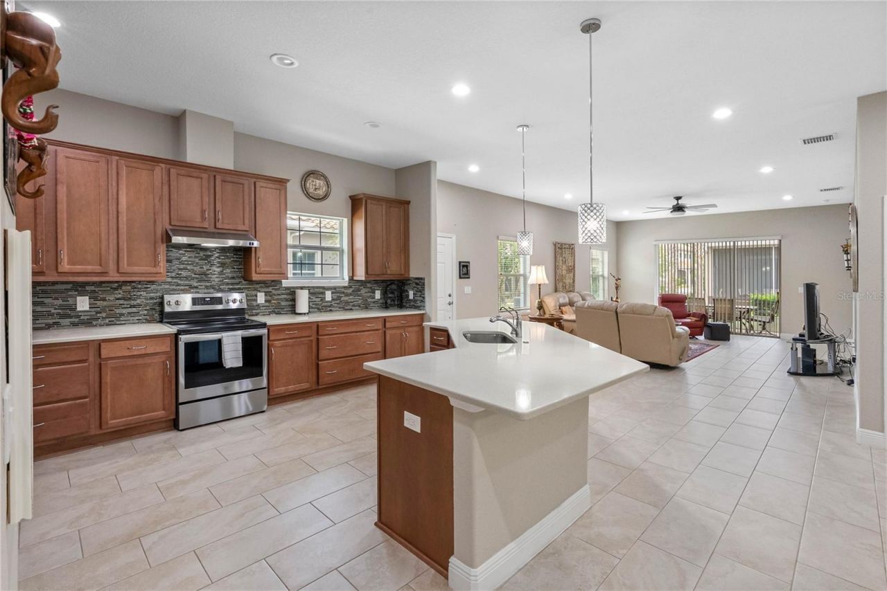 29947 Yamuna Way, Wesley Chapel, FL 33543 Photo