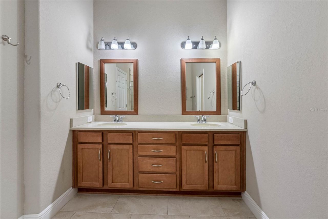 29947 Yamuna Way, Wesley Chapel, FL 33543 Photo