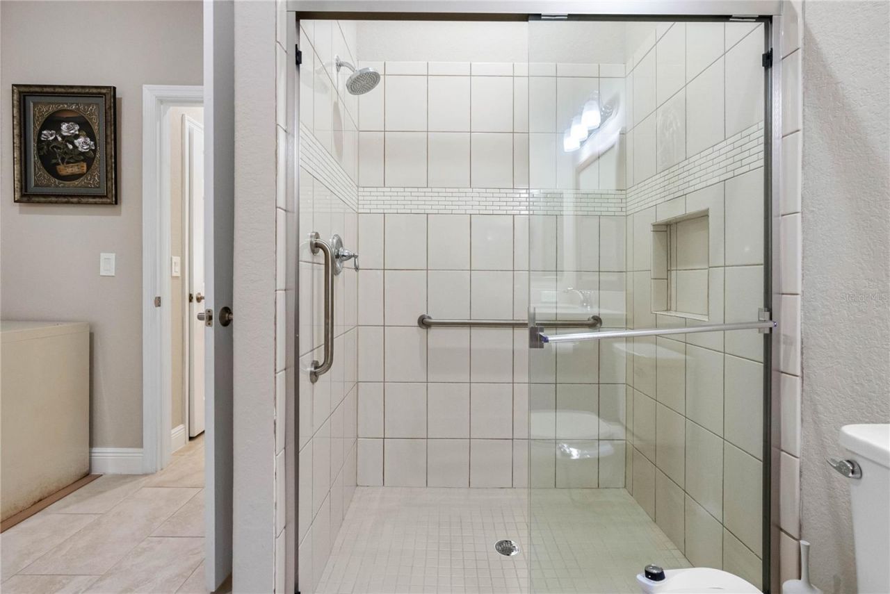 29947 Yamuna Way, Wesley Chapel, FL 33543 Photo