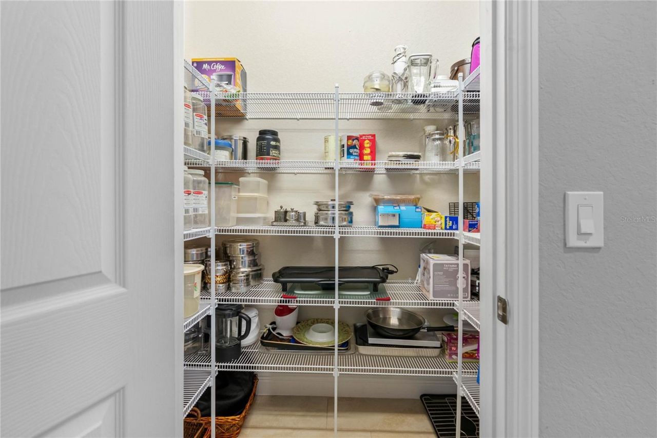 29947 Yamuna Way, Wesley Chapel, FL 33543 Photo