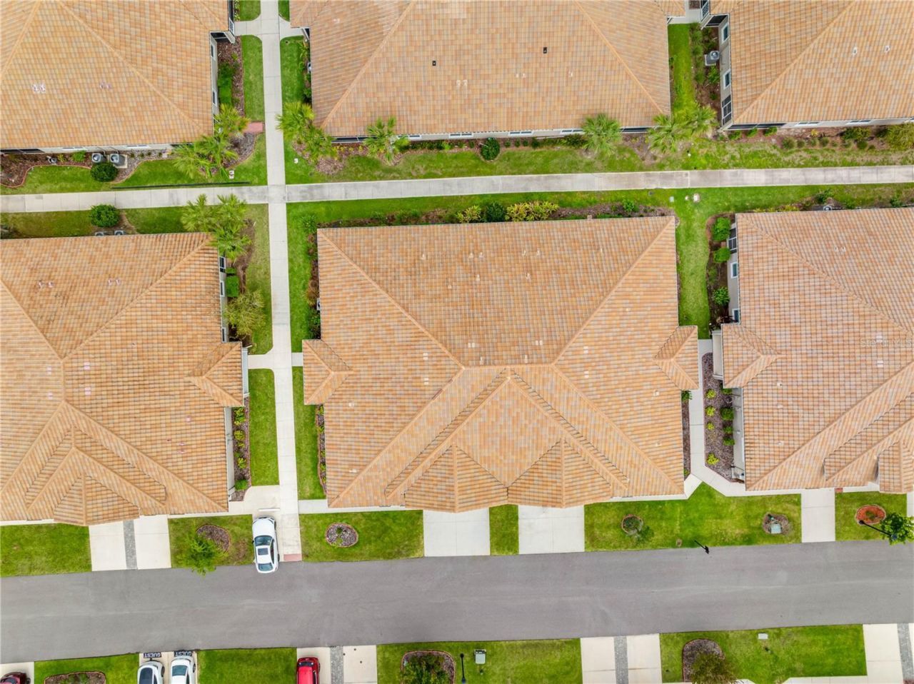 29947 Yamuna Way, Wesley Chapel, FL 33543 Photo