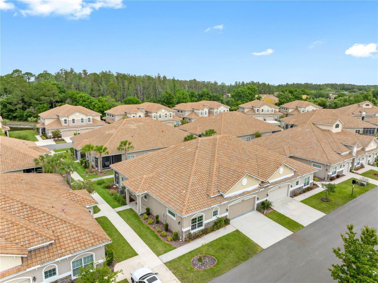 29947 Yamuna Way, Wesley Chapel, FL 33543 Photo