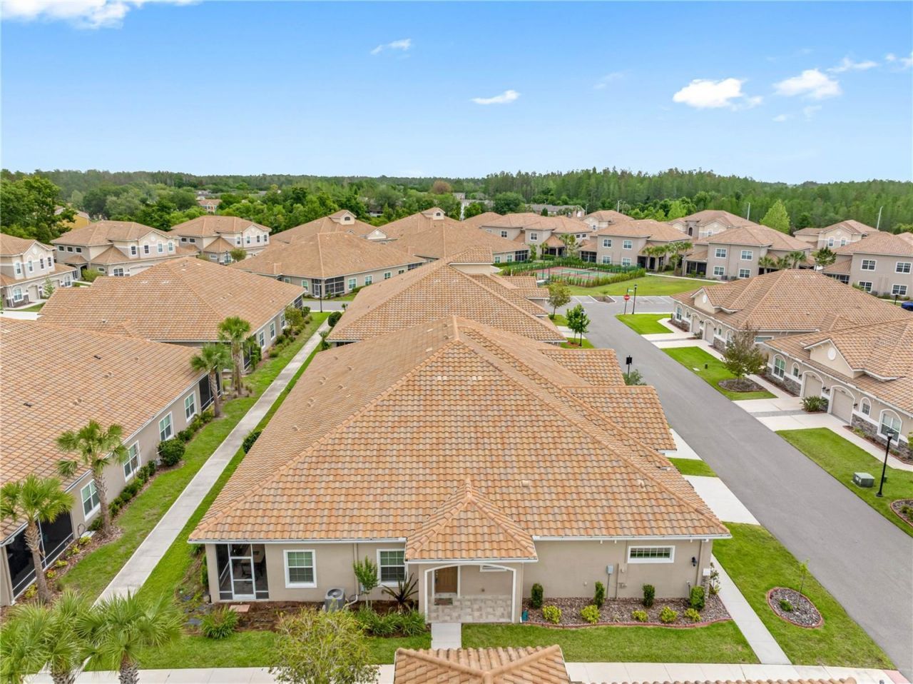 29947 Yamuna Way, Wesley Chapel, FL 33543 Photo