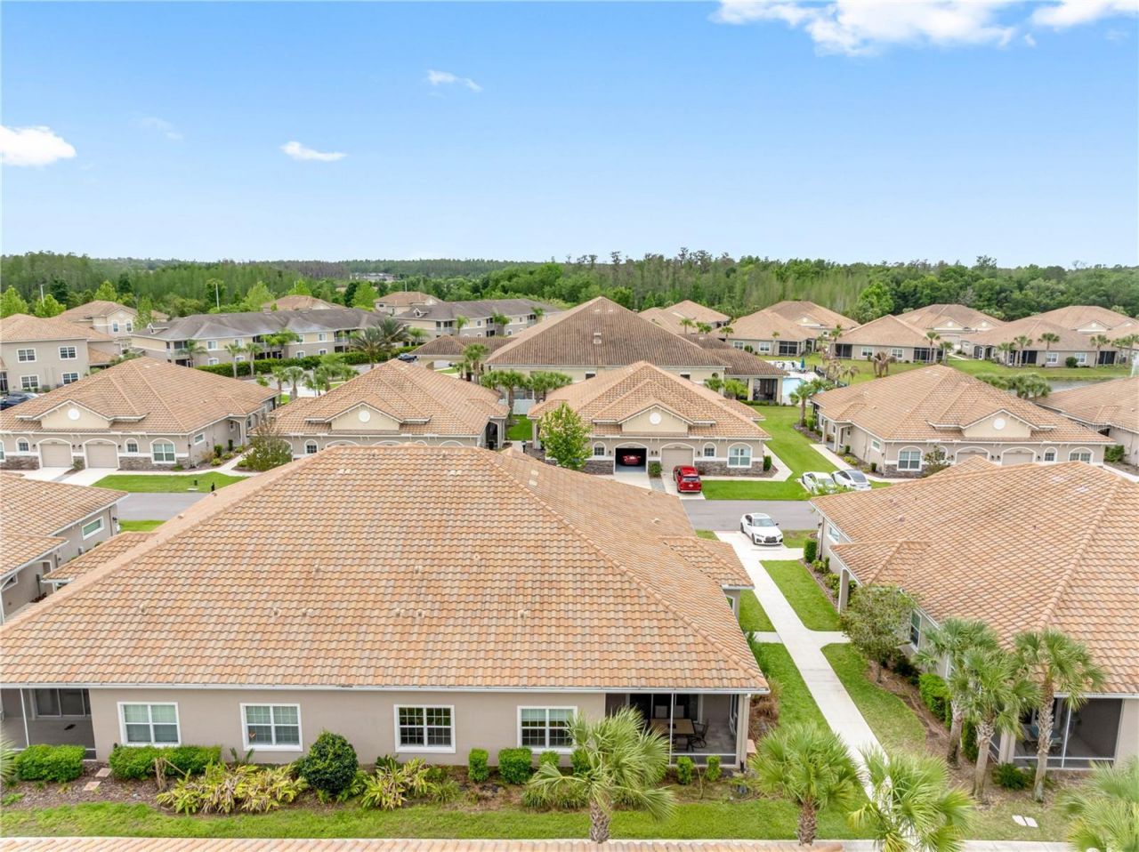 29947 Yamuna Way, Wesley Chapel, FL 33543 Photo