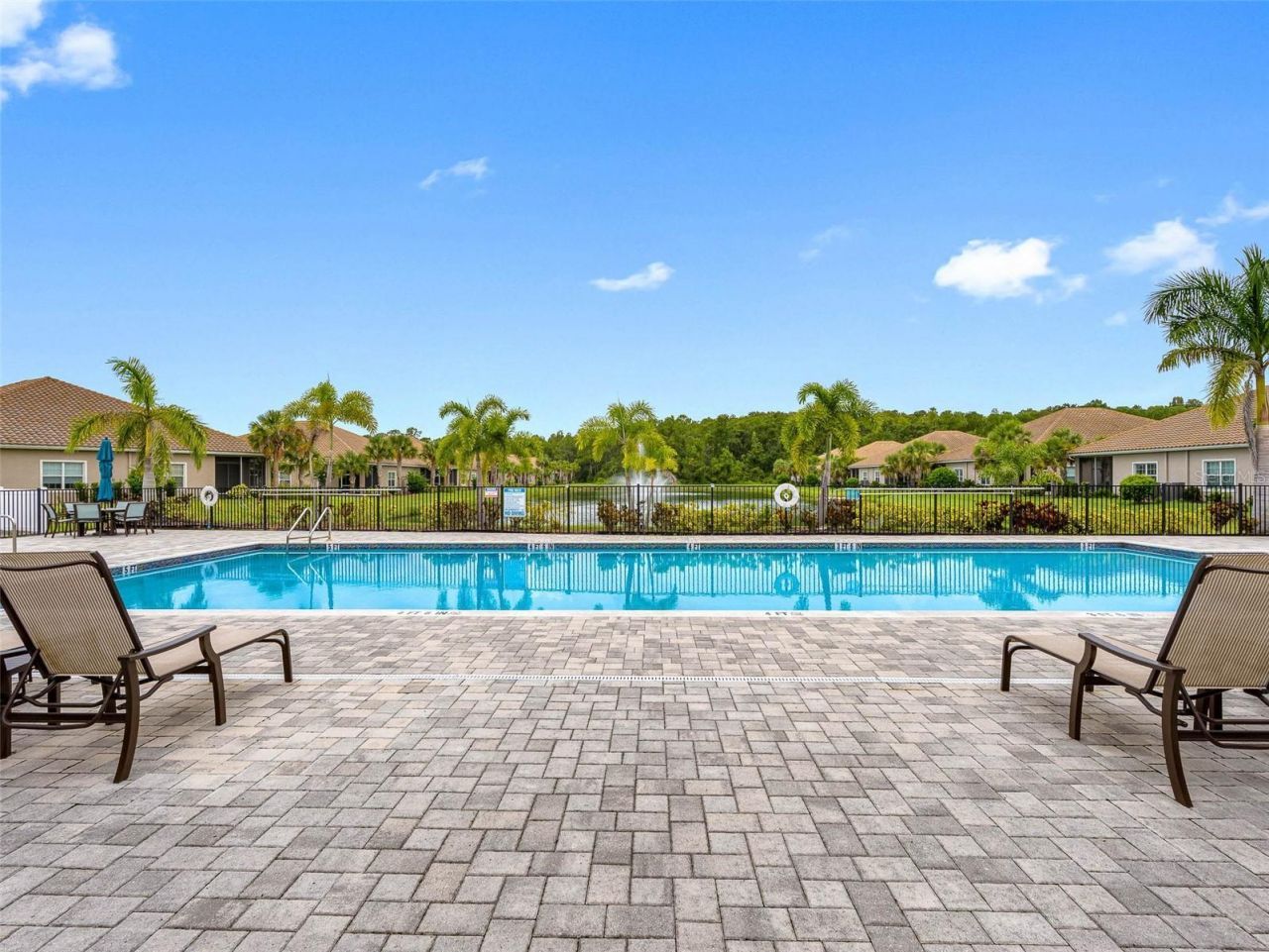 29947 Yamuna Way, Wesley Chapel, FL 33543 Photo