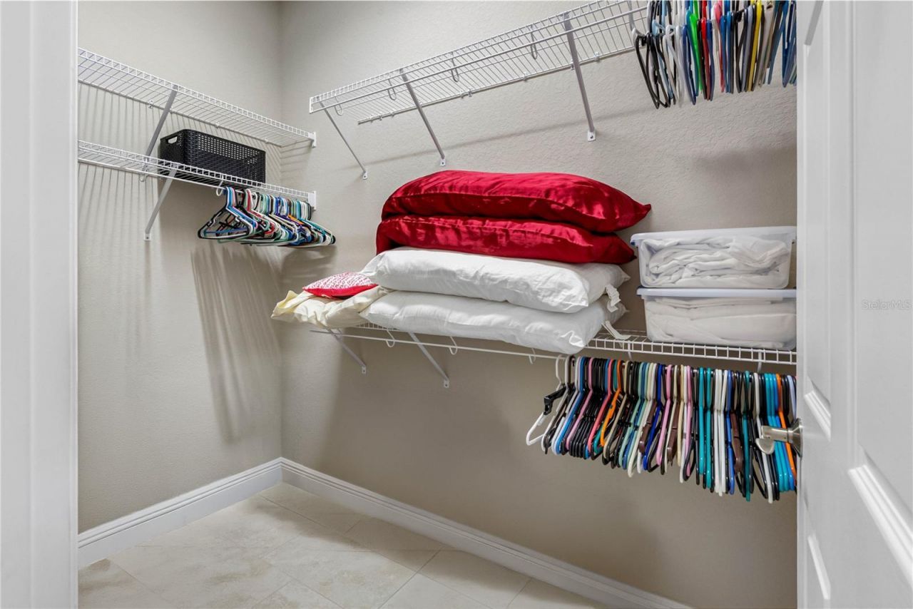 29947 Yamuna Way, Wesley Chapel, FL 33543 Photo