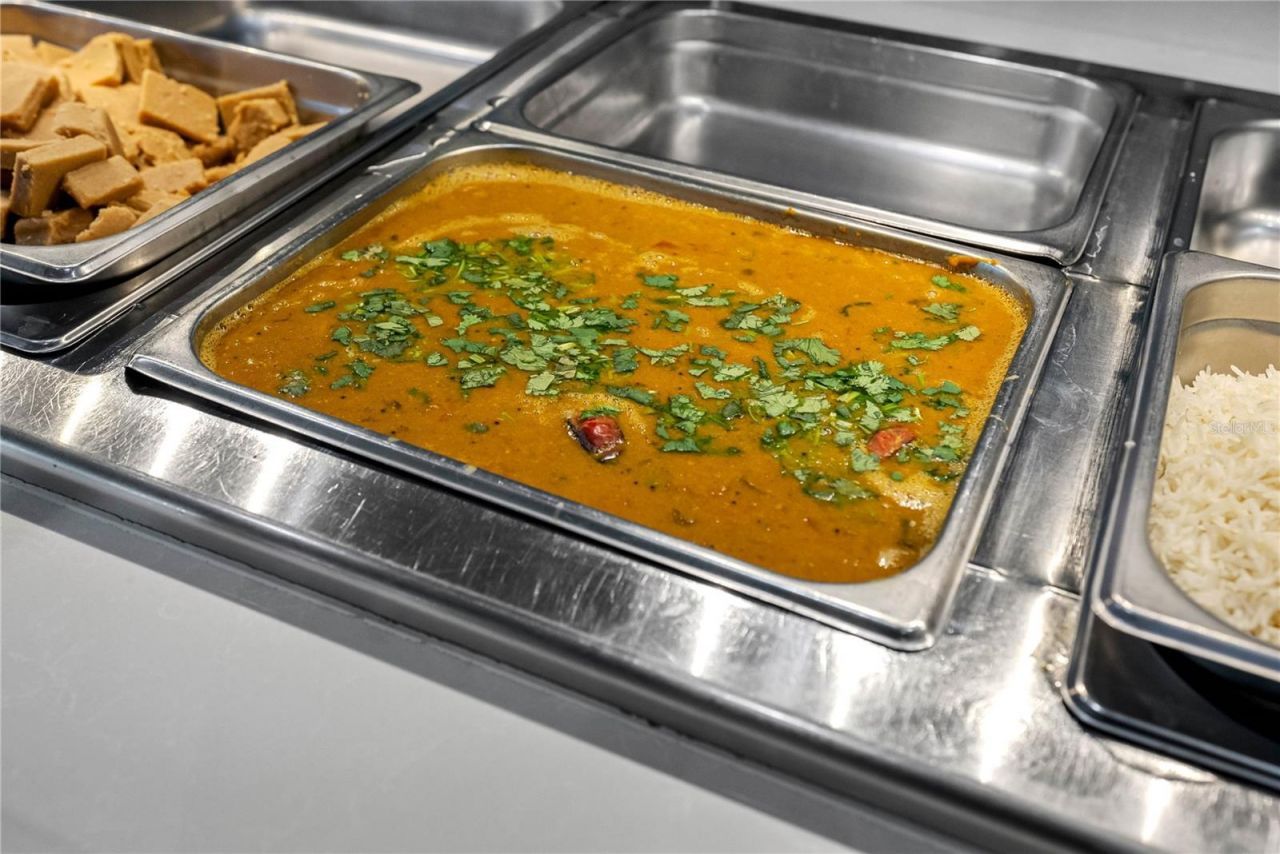 29947 Yamuna Way, Wesley Chapel, FL 33543 Photo