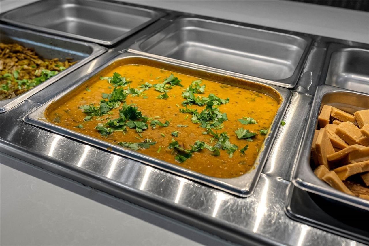 29947 Yamuna Way, Wesley Chapel, FL 33543 Photo