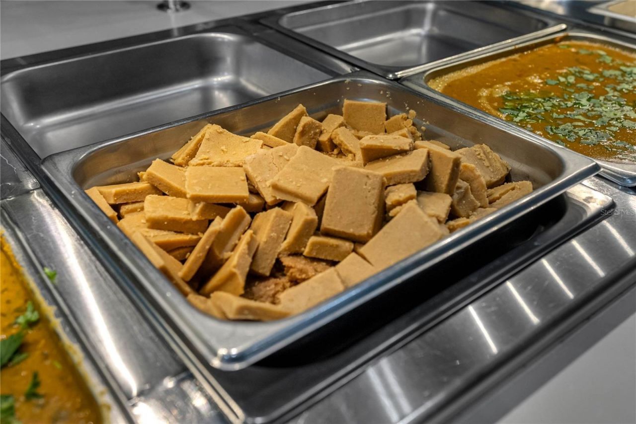 29947 Yamuna Way, Wesley Chapel, FL 33543 Photo