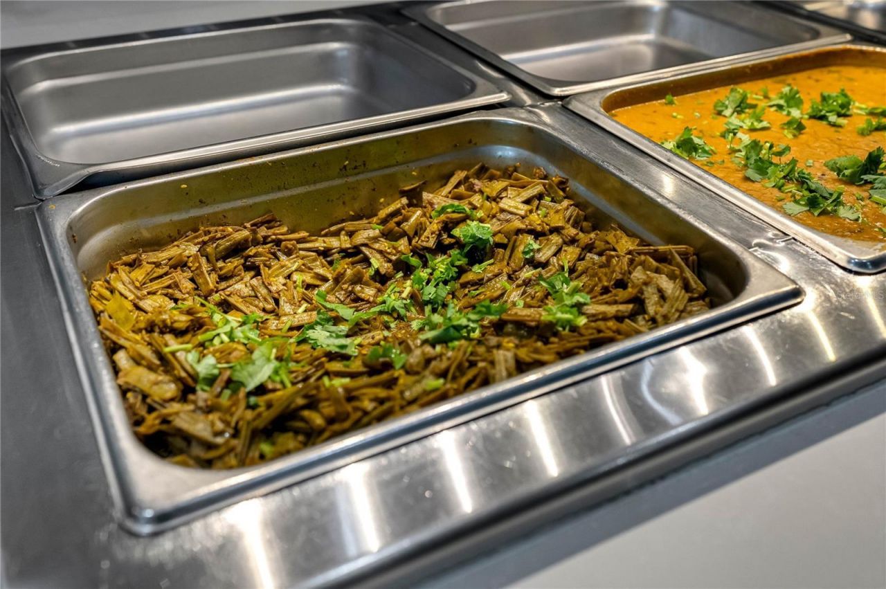 29947 Yamuna Way, Wesley Chapel, FL 33543 Photo