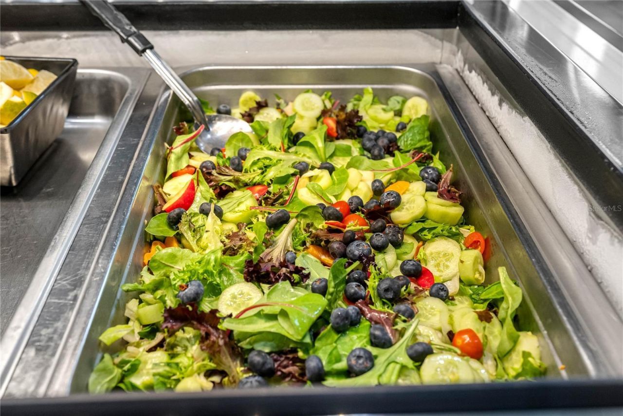 29947 Yamuna Way, Wesley Chapel, FL 33543 Photo