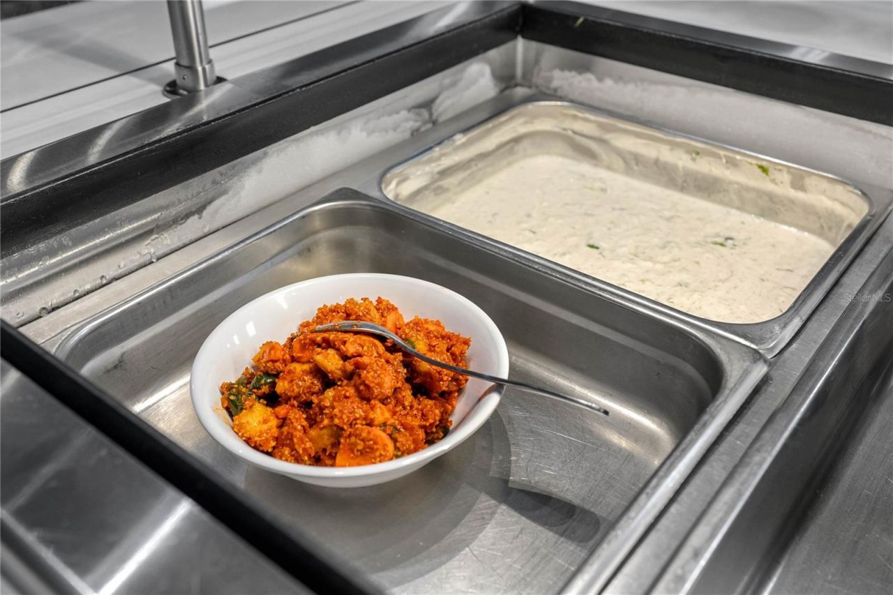 29947 Yamuna Way, Wesley Chapel, FL 33543 Photo