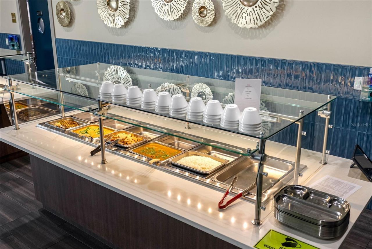 29947 Yamuna Way, Wesley Chapel, FL 33543 Photo