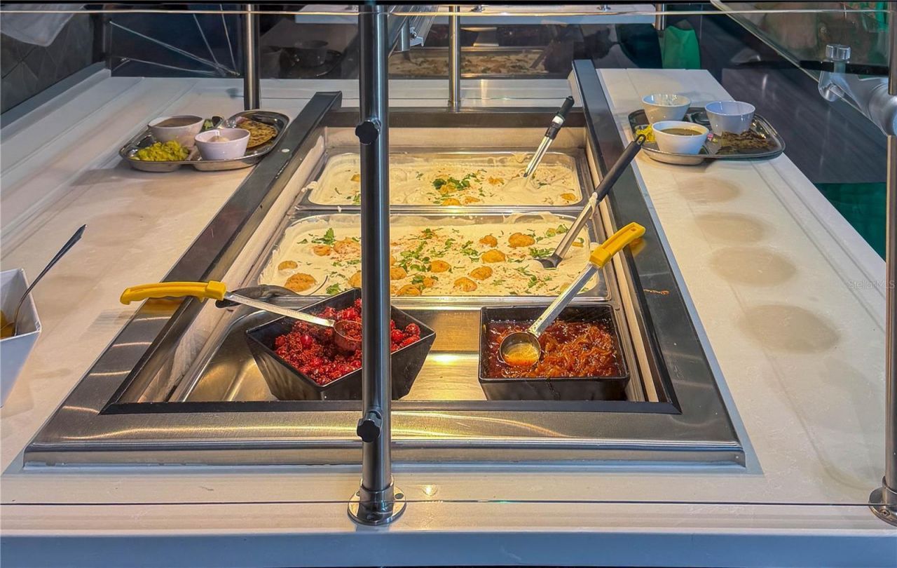 29947 Yamuna Way, Wesley Chapel, FL 33543 Photo