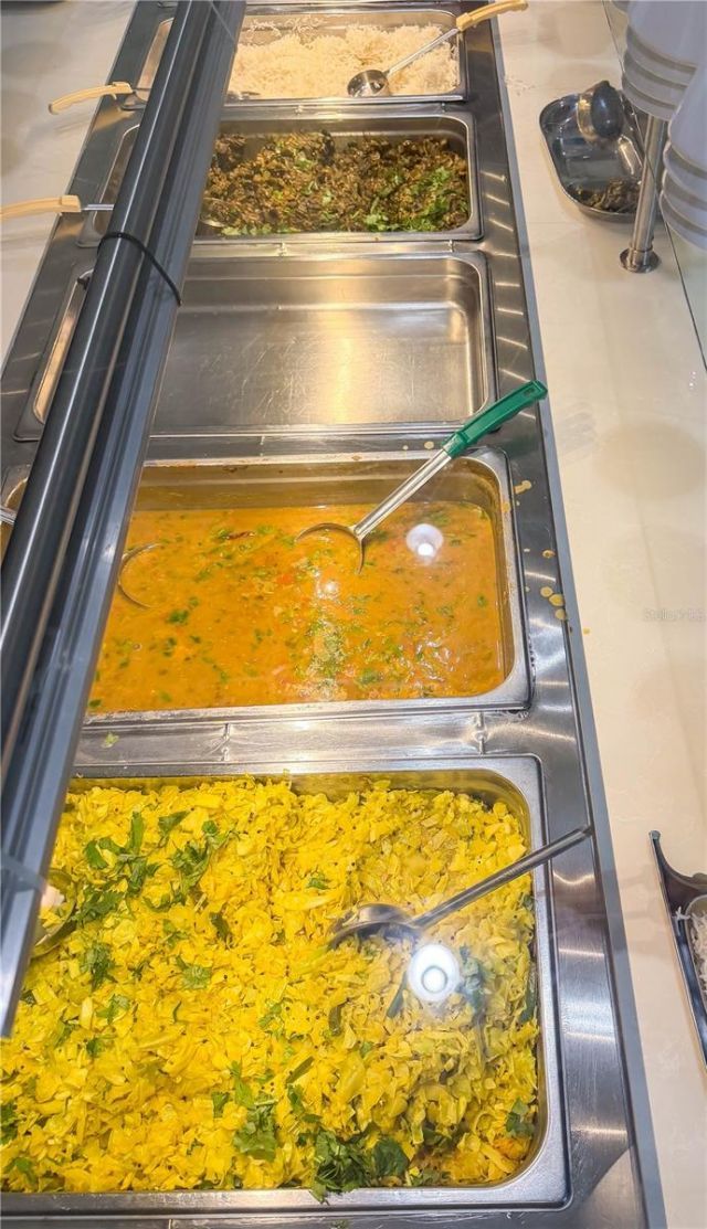 29947 Yamuna Way, Wesley Chapel, FL 33543 Photo