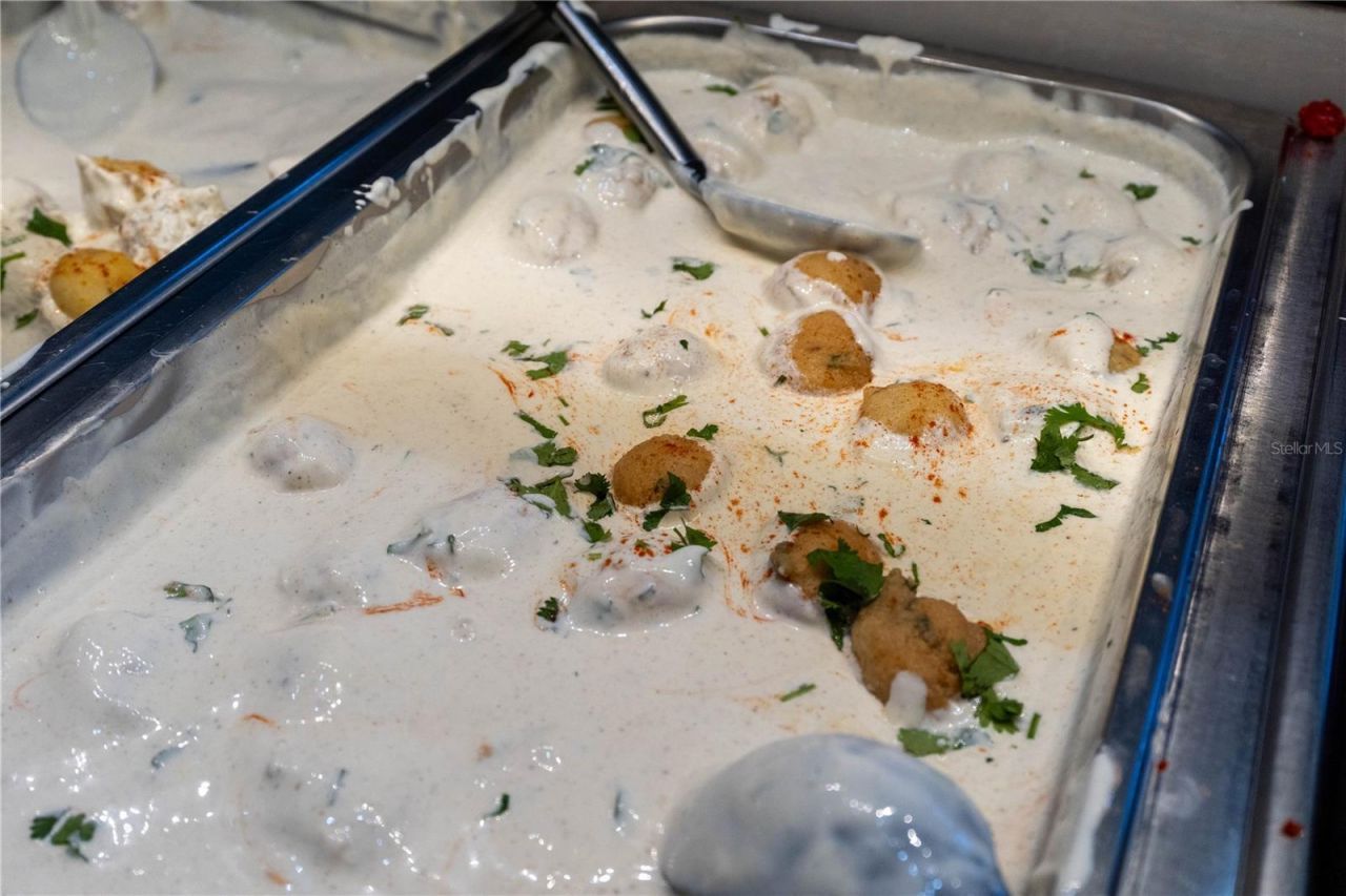 29947 Yamuna Way, Wesley Chapel, FL 33543 Photo