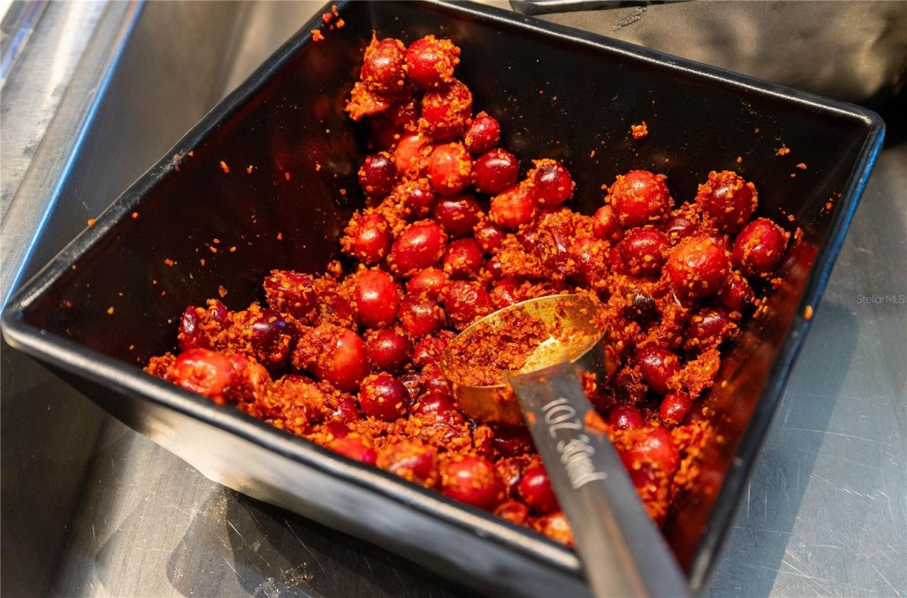 29947 Yamuna Way, Wesley Chapel, FL 33543 Photo