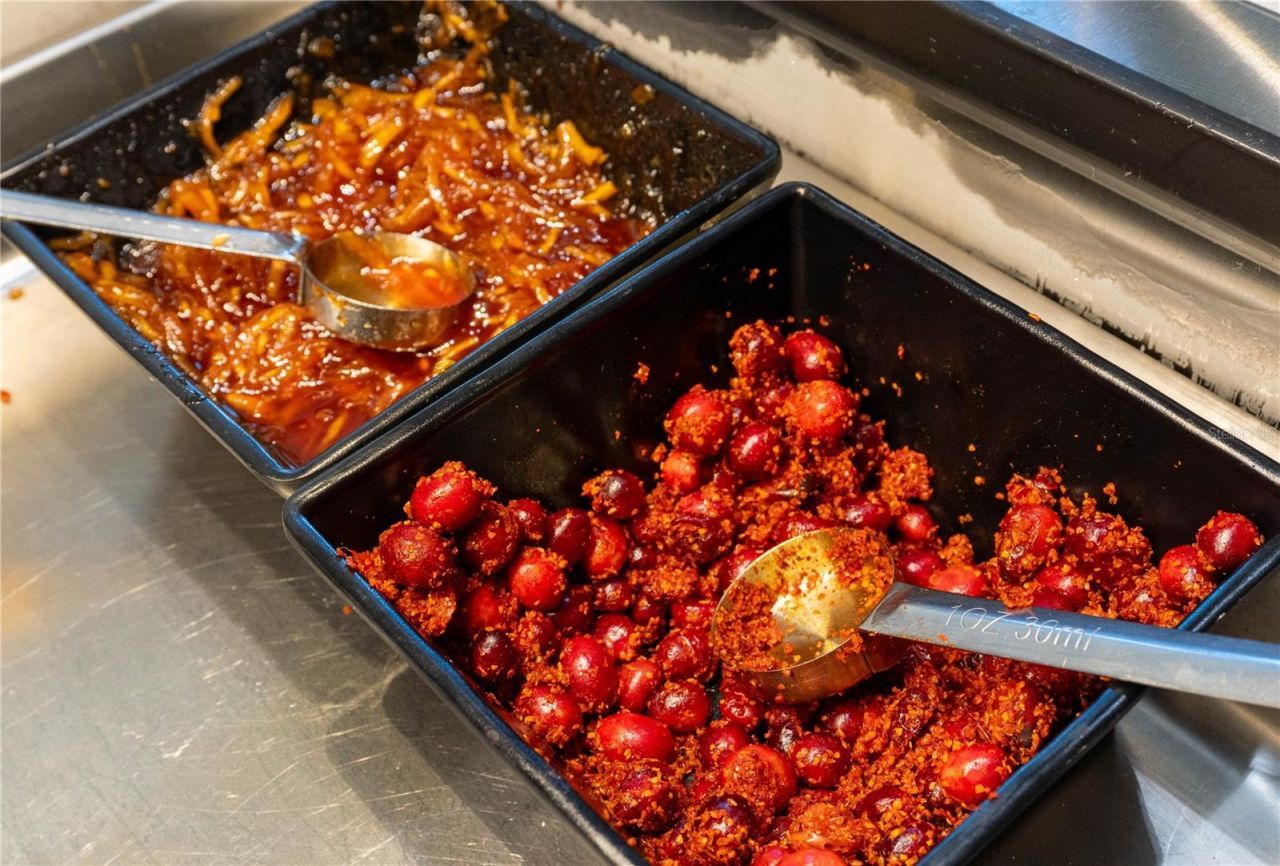 29947 Yamuna Way, Wesley Chapel, FL 33543 Photo