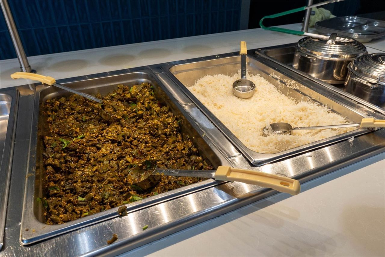 29947 Yamuna Way, Wesley Chapel, FL 33543 Photo