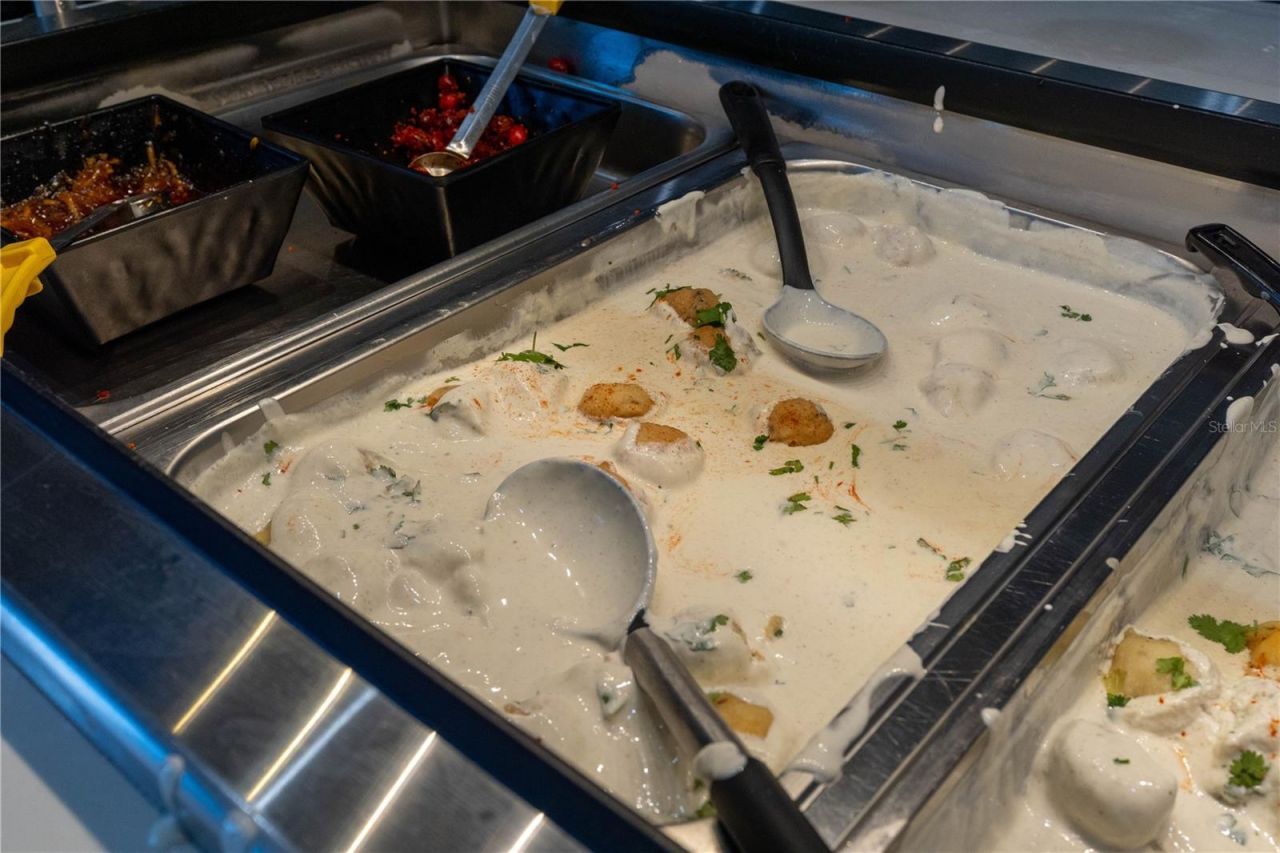 29947 Yamuna Way, Wesley Chapel, FL 33543 Photo