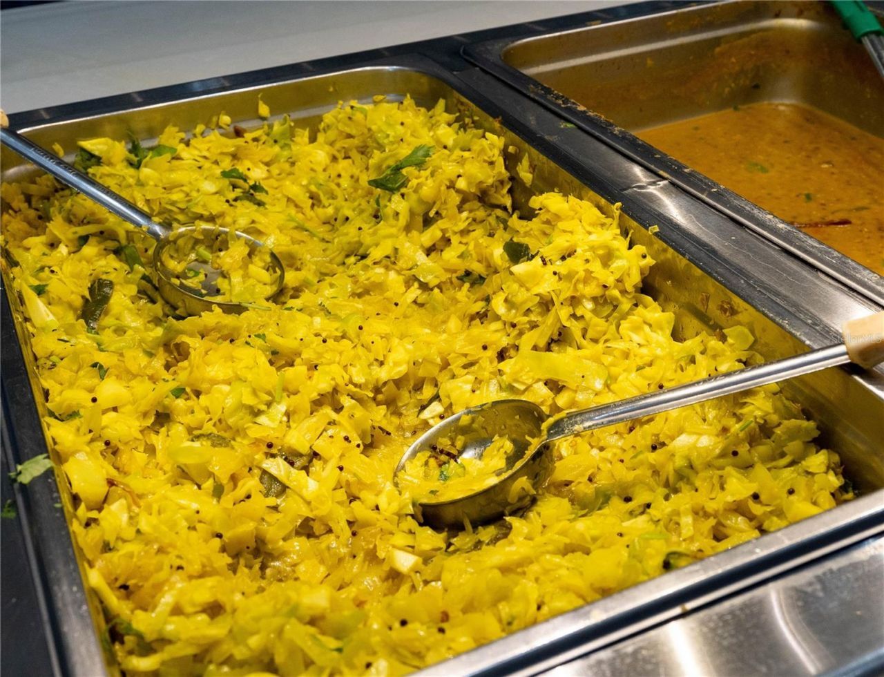 29947 Yamuna Way, Wesley Chapel, FL 33543 Photo