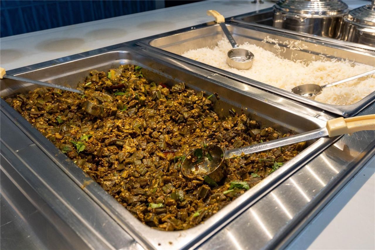 29947 Yamuna Way, Wesley Chapel, FL 33543 Photo