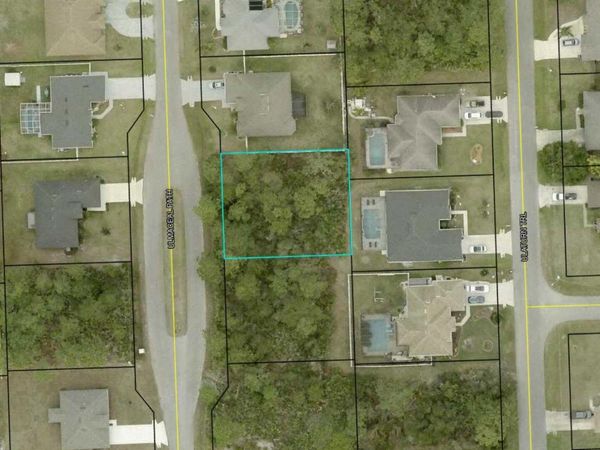 25 ULMACEAL PATH , PALM COAST, FL 32164