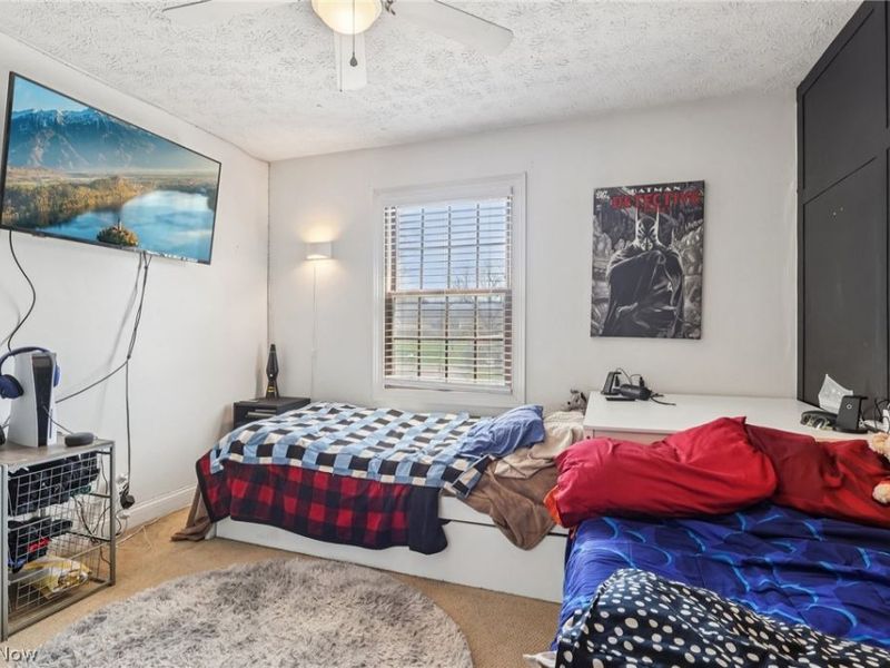 1957 Henn Hyde Road NE, Howland, OH 44484 Photo 26