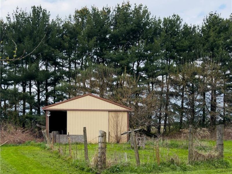 3771 Hog Eye Road, New Jasper Township, OH 45335 Photo 3