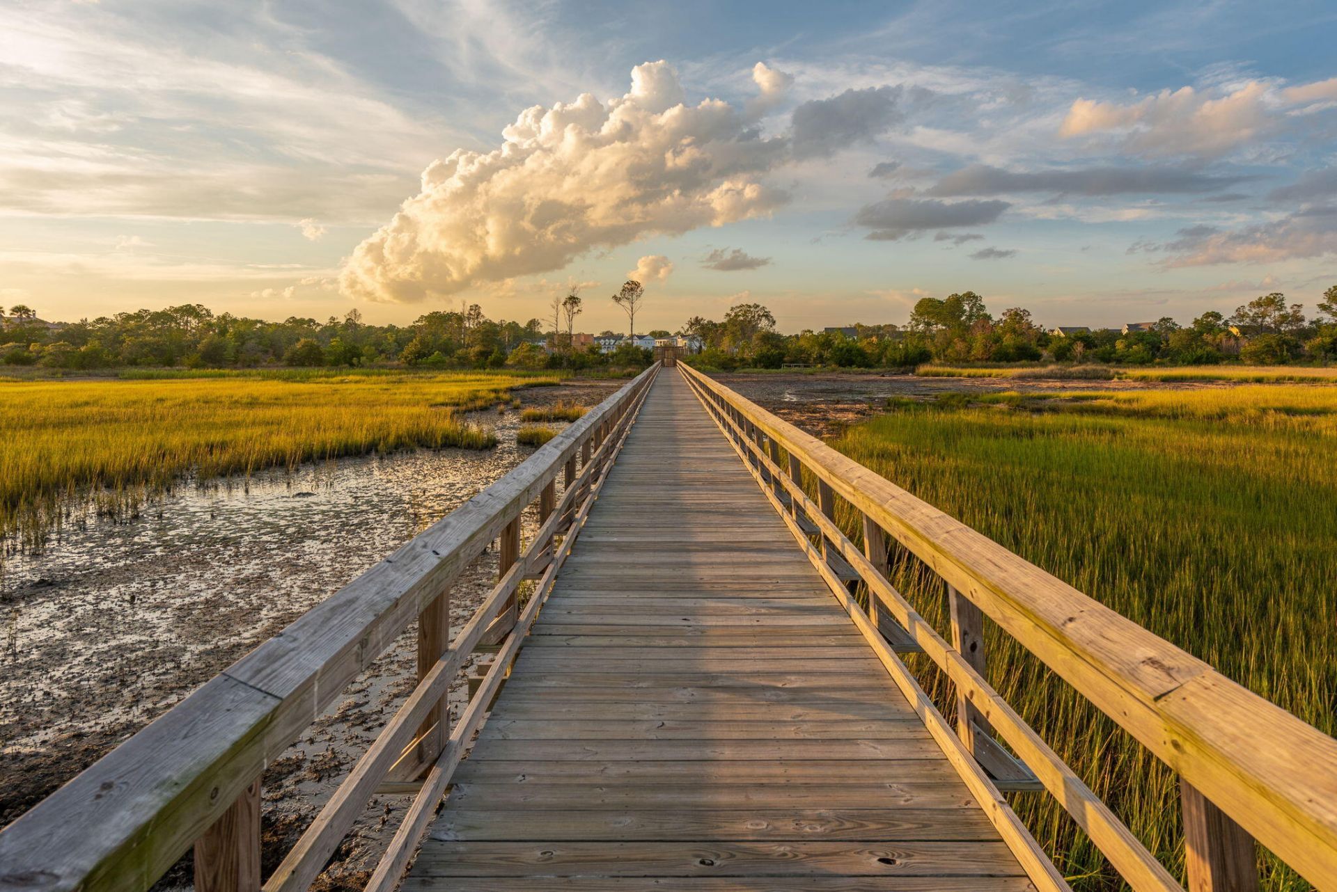 2110 Oyster Reef Lane Photo 27