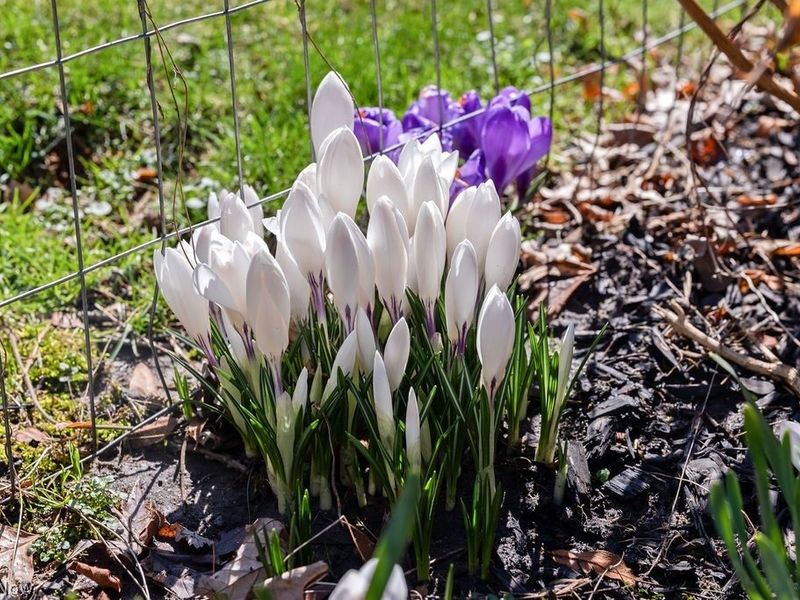 260 Courtland Boulevard, Eastlake, OH 44095 Photo 27